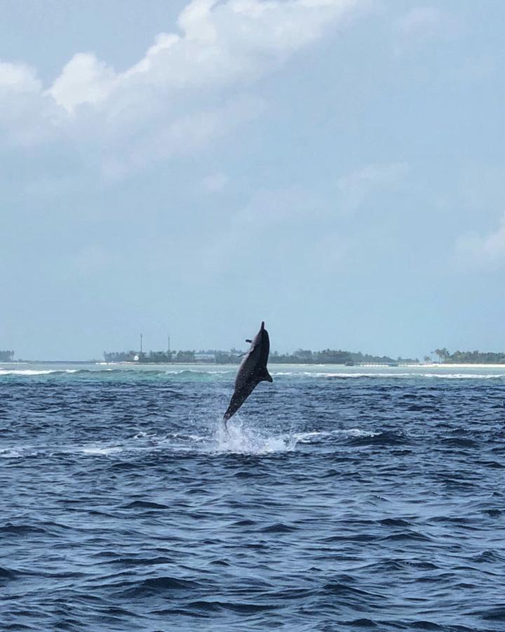 Hotel Seginy Seaview Guraidhoo  Exterior foto